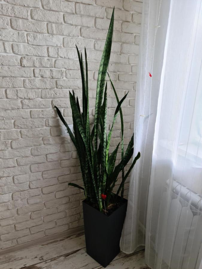 Prime Apartments Hrodna Kültér fotó