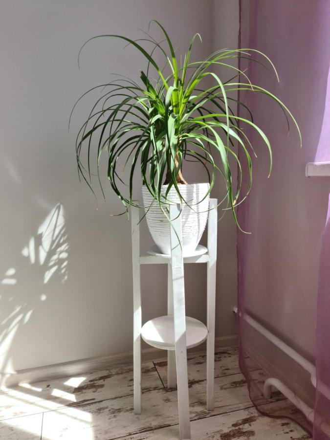Prime Apartments Hrodna Kültér fotó